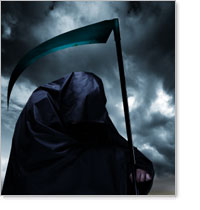 Feature Image