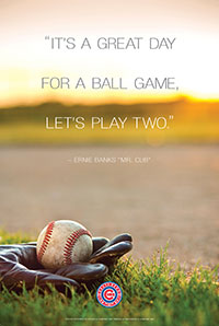 SB Cubs Poster