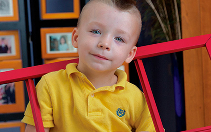 Ronald McDonald House Charities Capital Sample